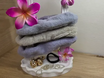 Minimalist Arch Claw Clip & Jewelry Organizer