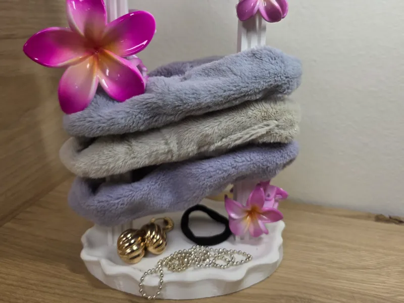 Minimalist Arch Claw Clip & Jewelry Organizer