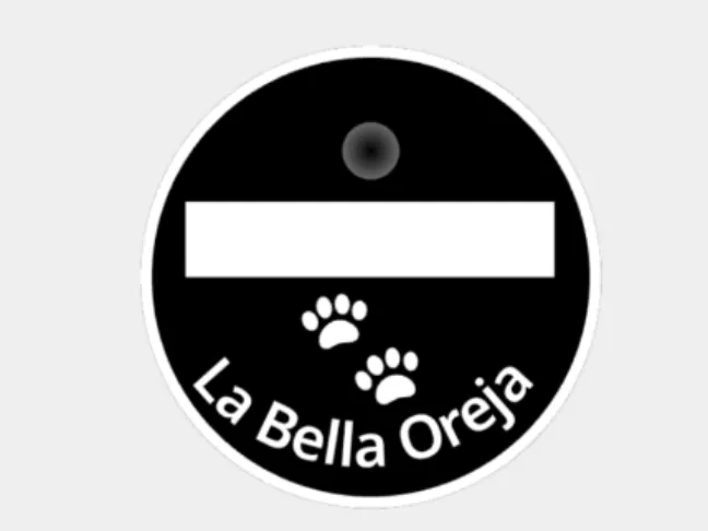 Nombre perro Basset Hound