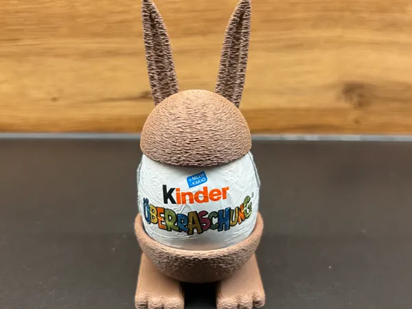 https://makerworld.bblmw.com/makerworld/model/US3ef6fdb2f15ac2/design/2025-02-21_f17732815c44a.jpg