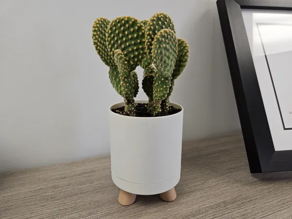 https://makerworld.bblmw.com/makerworld/model/US3efaf42499bbe3/design/2024-03-07_26922dadfa86.jpg