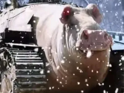 Pork Dozer