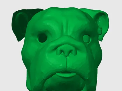 Bulldog Head