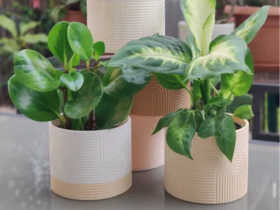 Modern Curved Pot - Planter – Minimalist Design
