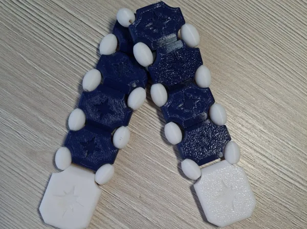 https://makerworld.bblmw.com/makerworld/model/US3f02e20edb32a5/design/2025-02-05_7f60d12f49178.jpg