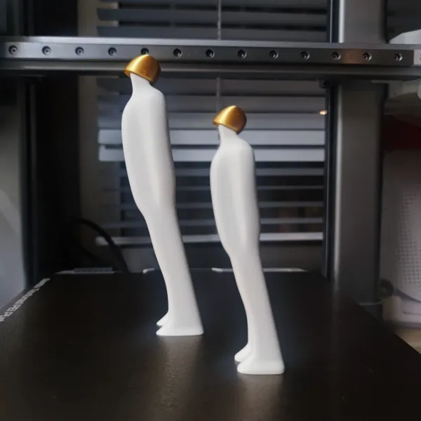 https://makerworld.bblmw.com/makerworld/model/US3f03fbf9eeba7c/design/2024-03-09_2e4a4c7e268d.jpg