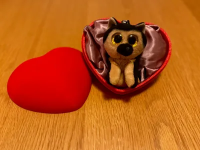 Simple Beautiful Velvet Heart Box