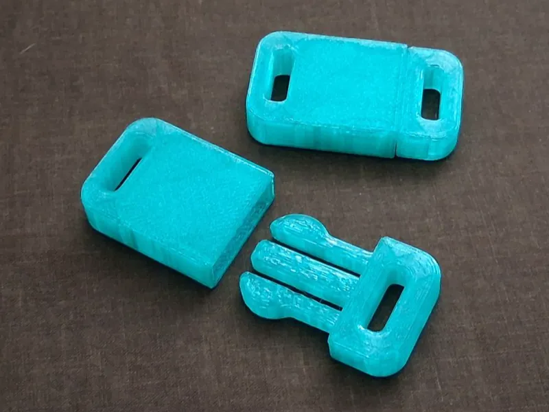 Buckle snaps