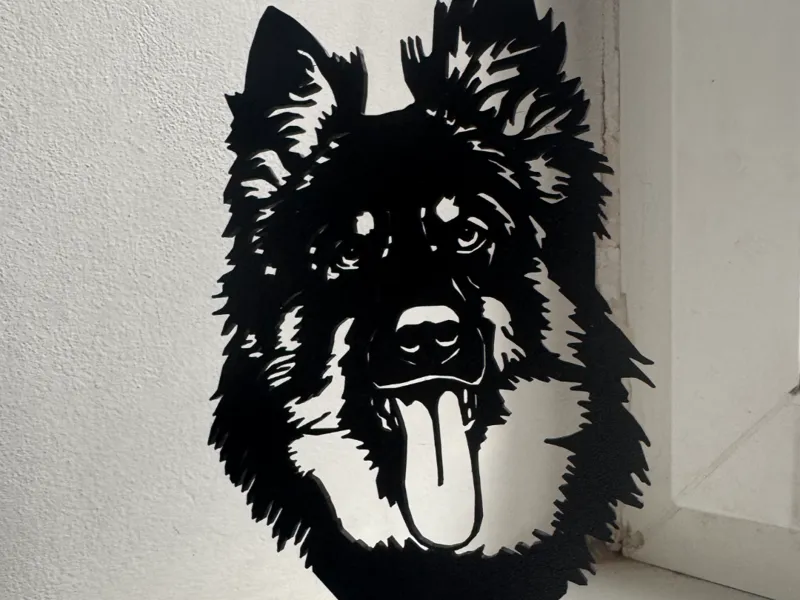 Trophy Chodský pes (Bohemian Shepherd)