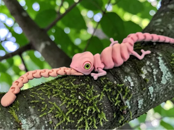 https://makerworld.bblmw.com/makerworld/model/US3f24f1fb28f192/design/a3451ddb0287a173.png