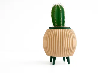 Vaso per pianta Grassa Angheio