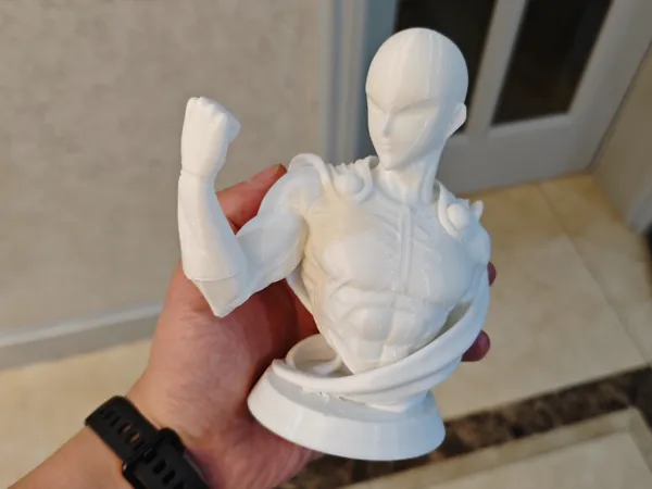https://makerworld.bblmw.com/makerworld/model/US3f255a1ac158c7/design/2025-06-08_b5e0203841364.jpg