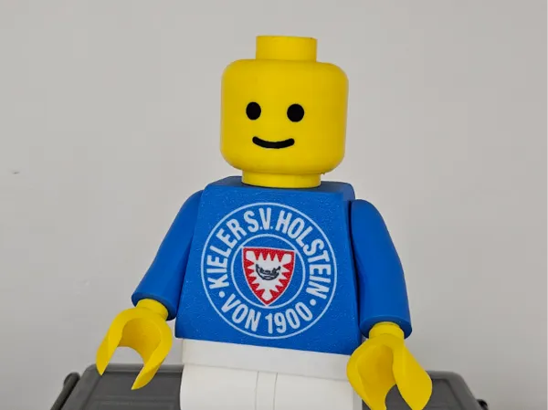 https://makerworld.bblmw.com/makerworld/model/US3f2d449fc5934a/design/2025-06-03_d0e0b5dd9fae18.jpg