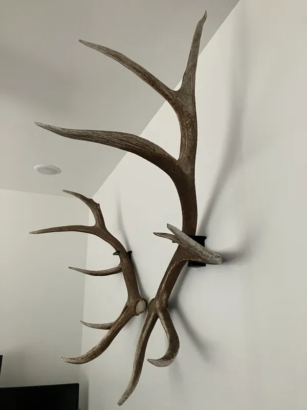 https://makerworld.bblmw.com/makerworld/model/US3f33fb33ba503a/design/2024-03-06_aheqyksjghl5.jpeg