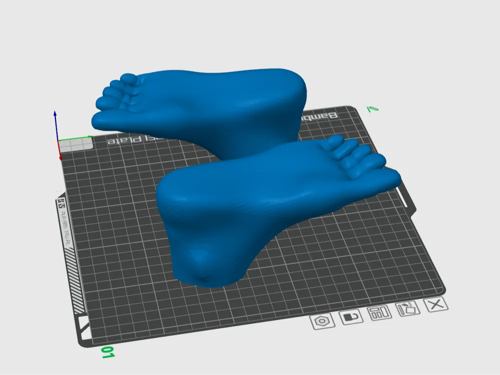 Human Feet, Gag gift, Halloween prop, Video Prop by Critters3D ...