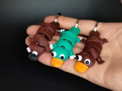 Flexi Cute Platypus