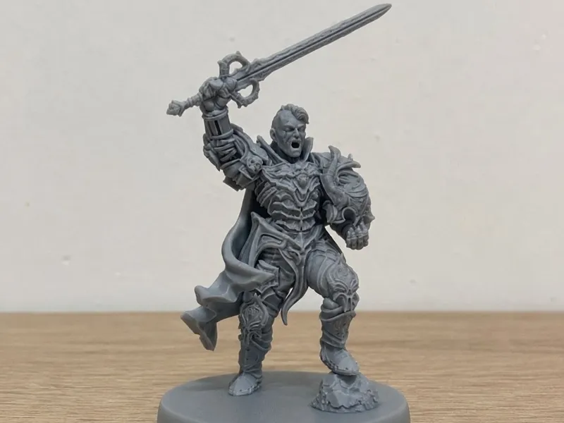Black Guard Knight