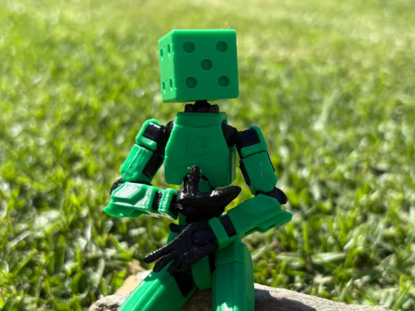 https://makerworld.bblmw.com/makerworld/model/US3f460be8bf02eb/design/2025-01-23_cdbf3ef2cf7be8.jpg