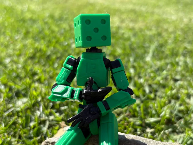Dummy 13 Dice Head