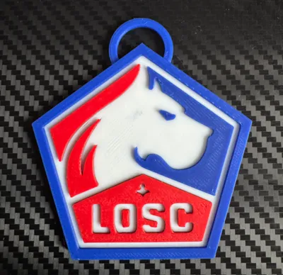 LOSC keychain
