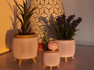 Minimalist & Elegant Flower Pot