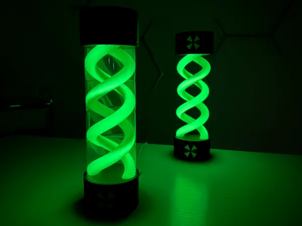 https://makerworld.bblmw.com/makerworld/model/US3f4b339cde68e7/design/2025-01-12_e2a95bc475ed.jpeg