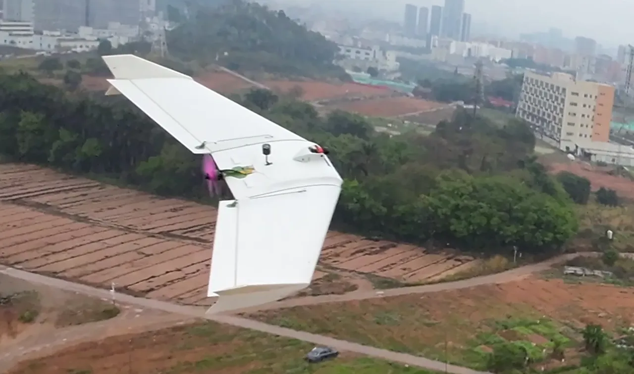 Breeze Model X [SUB250 FPV Flying Wings] RC plane view 2