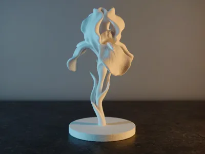 Elegant Iris