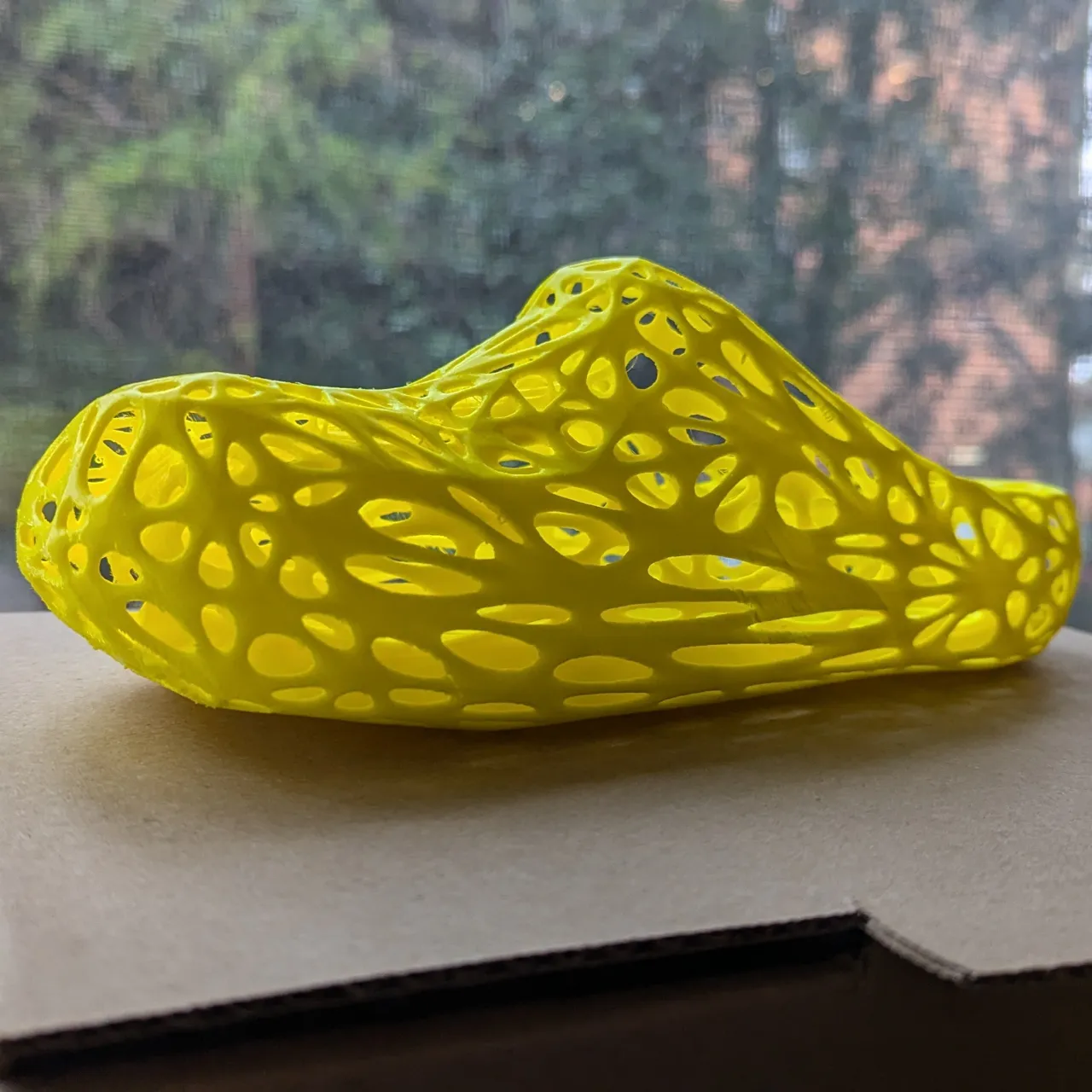 Crocs Voronoi view 4