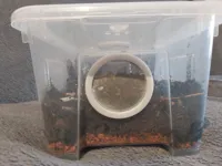 0.2mm layer, 6 walls, 25% infill