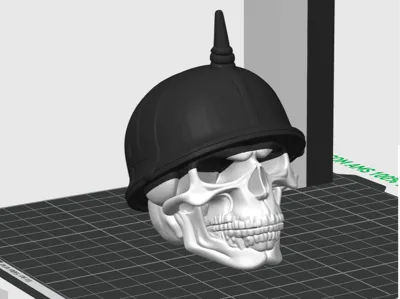Helmet Skull