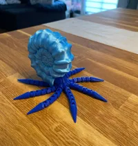 Ammonite articulée — photo 2
