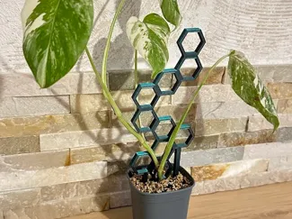 treillis plante nid d'abeille