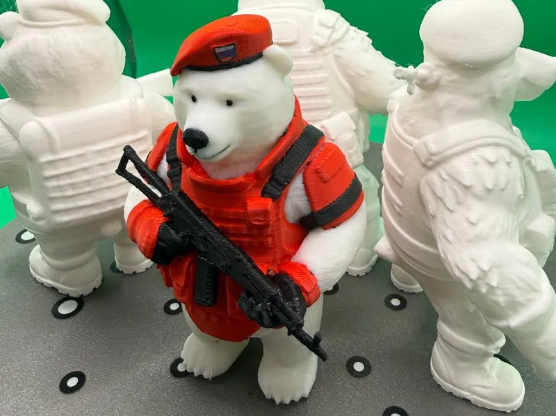 Bears Warriors