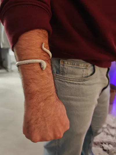 snake bracelet