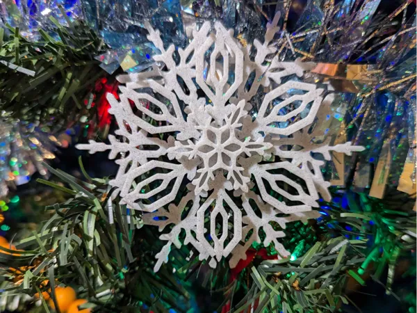https://makerworld.bblmw.com/makerworld/model/US3f5cf3ac27b449/design/2024-12-12_18939113a8f16.jpg
