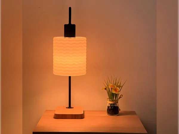https://makerworld.bblmw.com/makerworld/model/US3f5d552345a615/design/2025-09-15_f8350510e706f.jpg