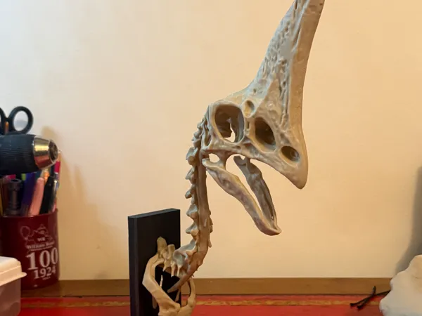 https://makerworld.bblmw.com/makerworld/model/US3f5e6baa8b3a24/design/2025-12-09_f41d4a531db52.jpg