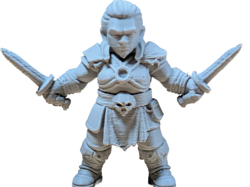 DnD Dwarf Female Barbarian Fighter w/ Dual Swords - Free 3D Print Model ...
