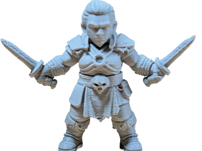DnD Dwarf Female Barbarian Fighter w/ Dual Swords