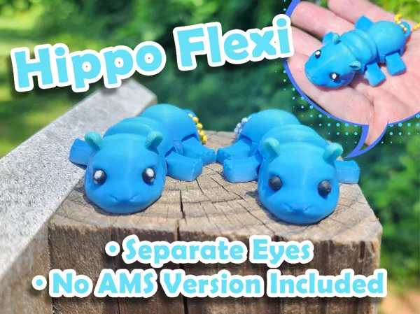https://makerworld.bblmw.com/makerworld/model/US3f72ea143b0182/design/2025-05-19_1347862285f598.jpg
