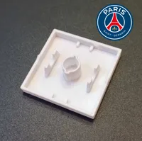 Paris Saint Germain
