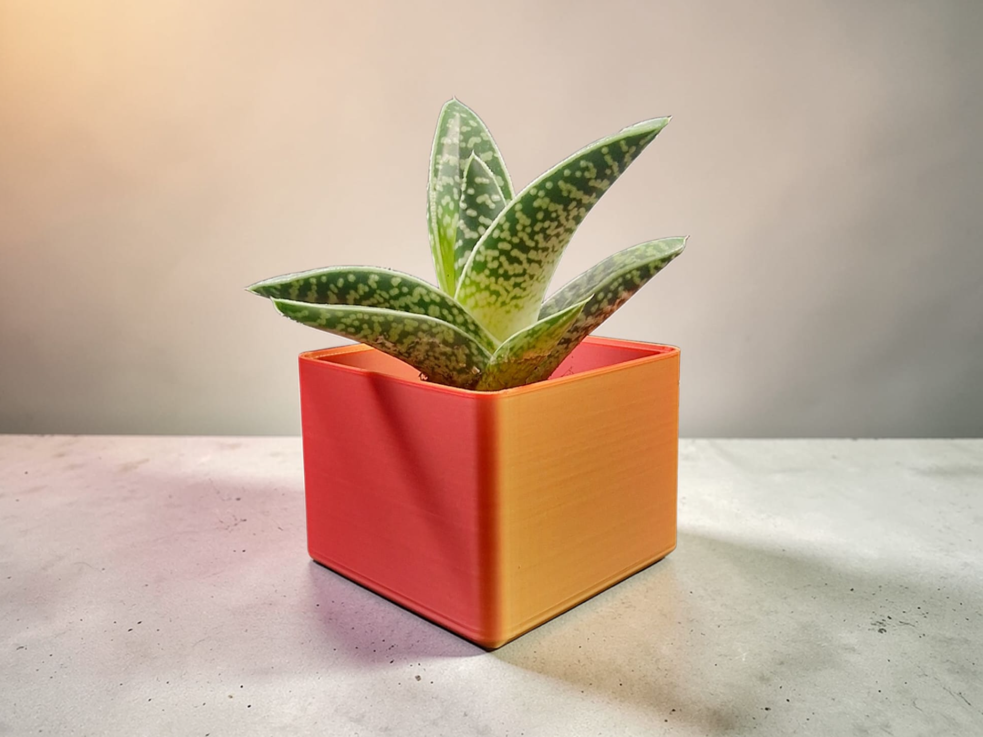VASO DESIGN - N°15