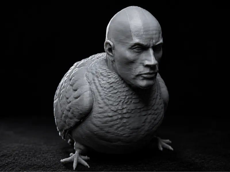 Just a Fat Rock Pigeon