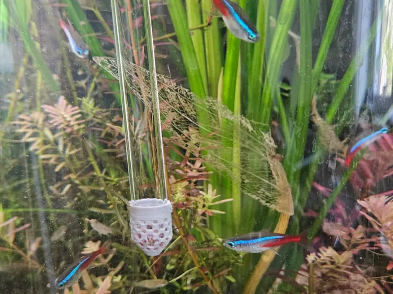 Fish Feeder for Tank / Aquarium for Tubifex, worm
