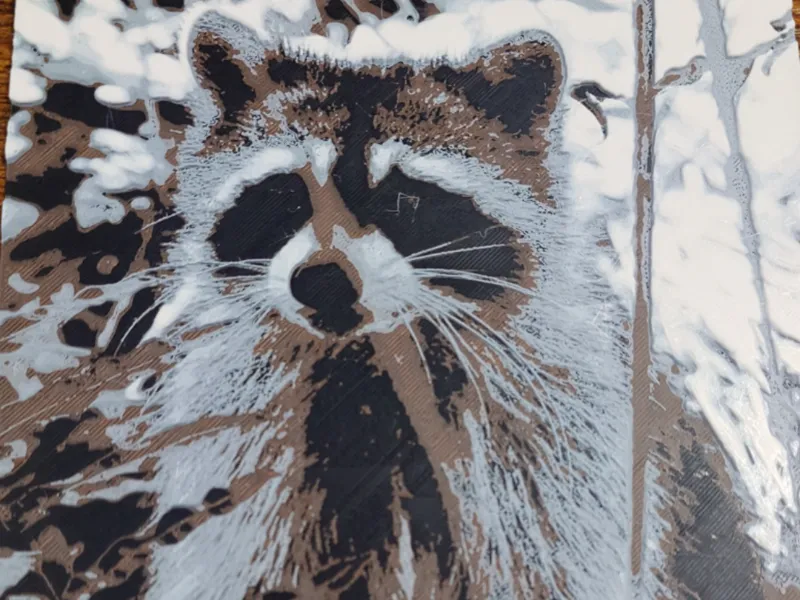 Cute Florida Raccoon aka Trash Panda