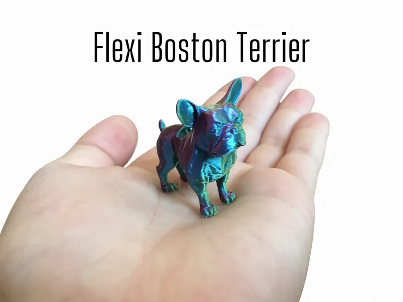 Flexi Boston Terrier. print in place