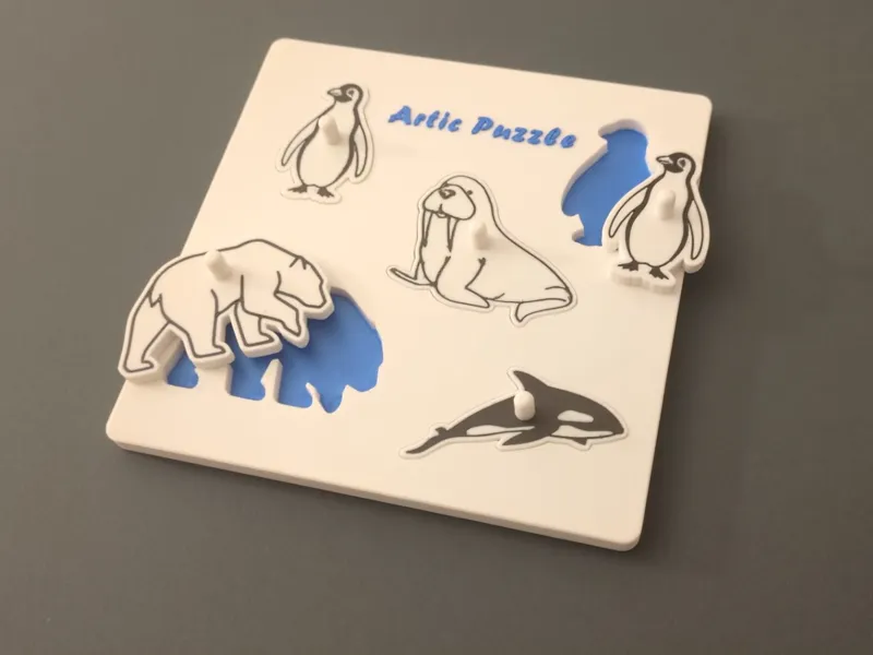 Artic Puzzle