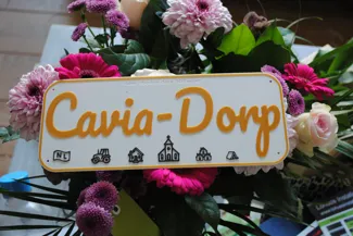 Cavia-Dorp