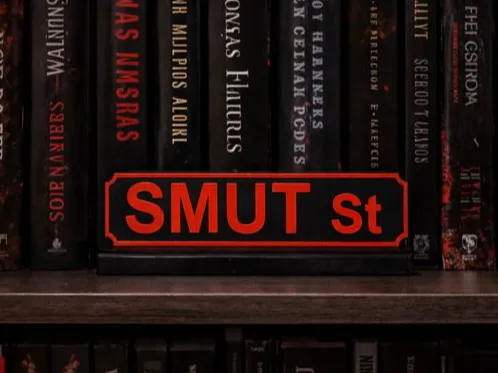 Smut Street Bookshelf Decor for Fantasy Book Lover